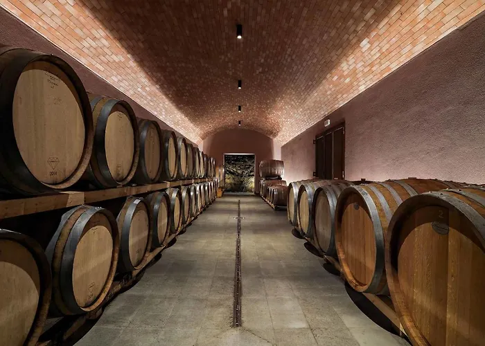 فيلة La Maccinaia 14 By Salogi